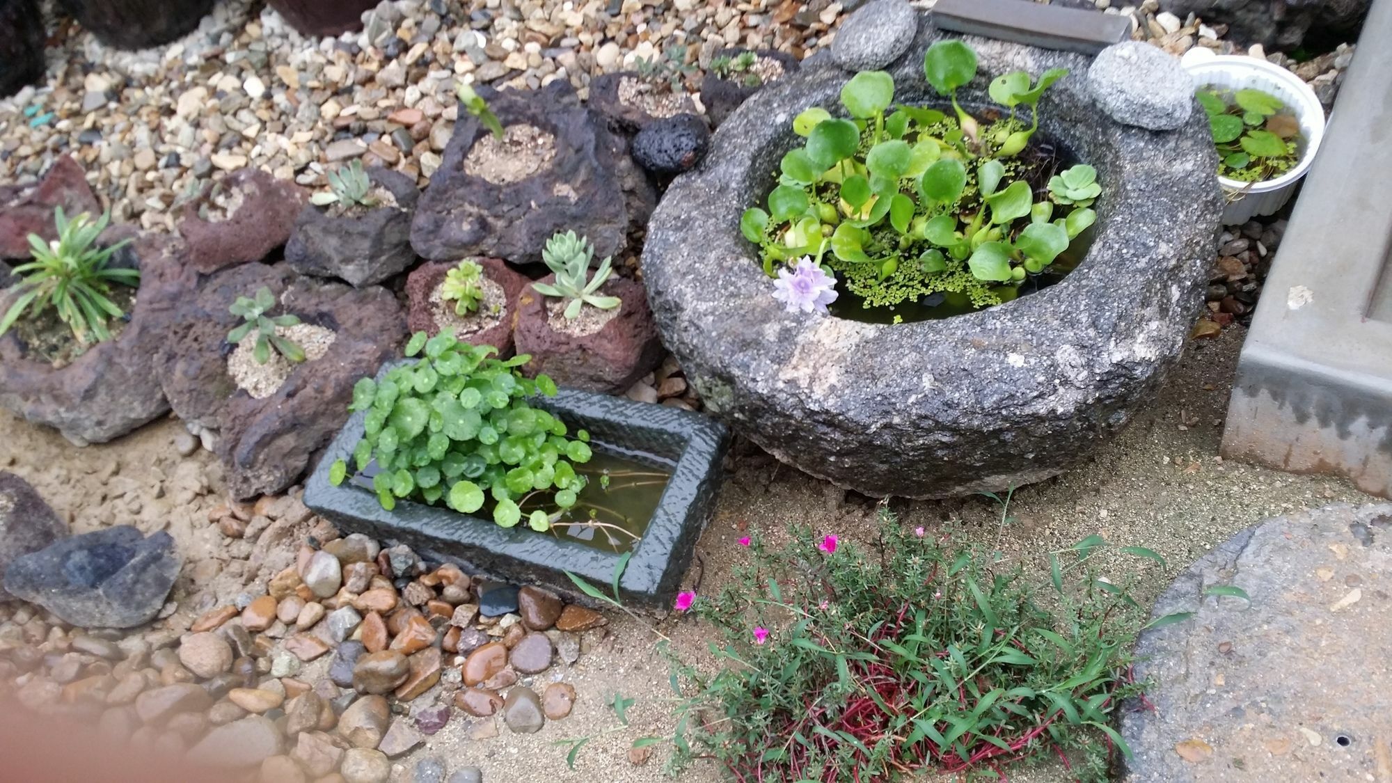 더 한옥 전주 외부 사진